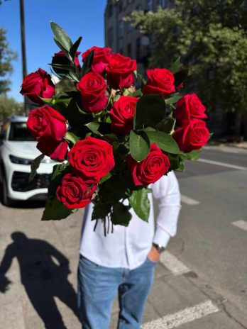 róże 40 cm